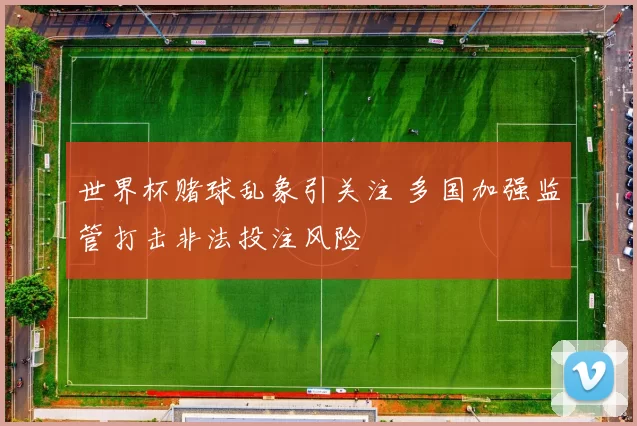 世界杯赌球乱象引关注 多国加强监管打击非法投注风险