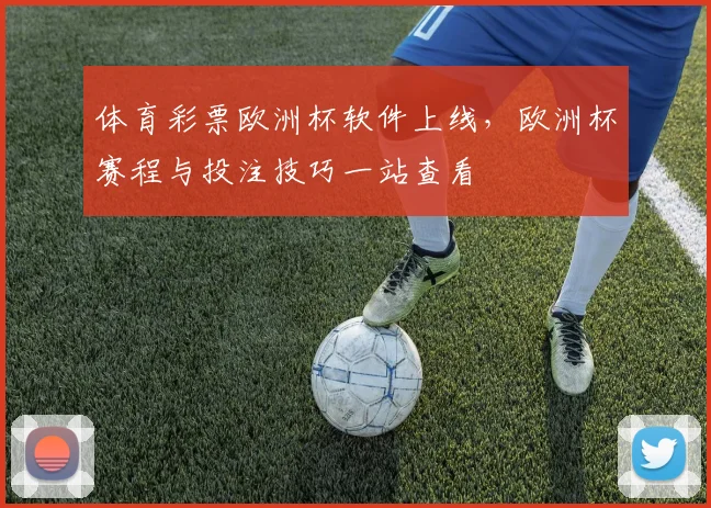 体育彩票欧洲杯软件上线,欧洲杯赛程与投注技巧一站查看