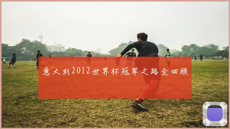 意大利2012世界杯冠军之路全回顾