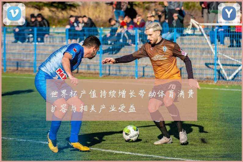 世界杯产值持续增长带动体育消费扩容与相关产业受益